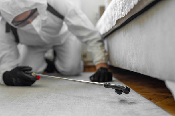 Professional Termite Control technician working in Lawrence County County, OH